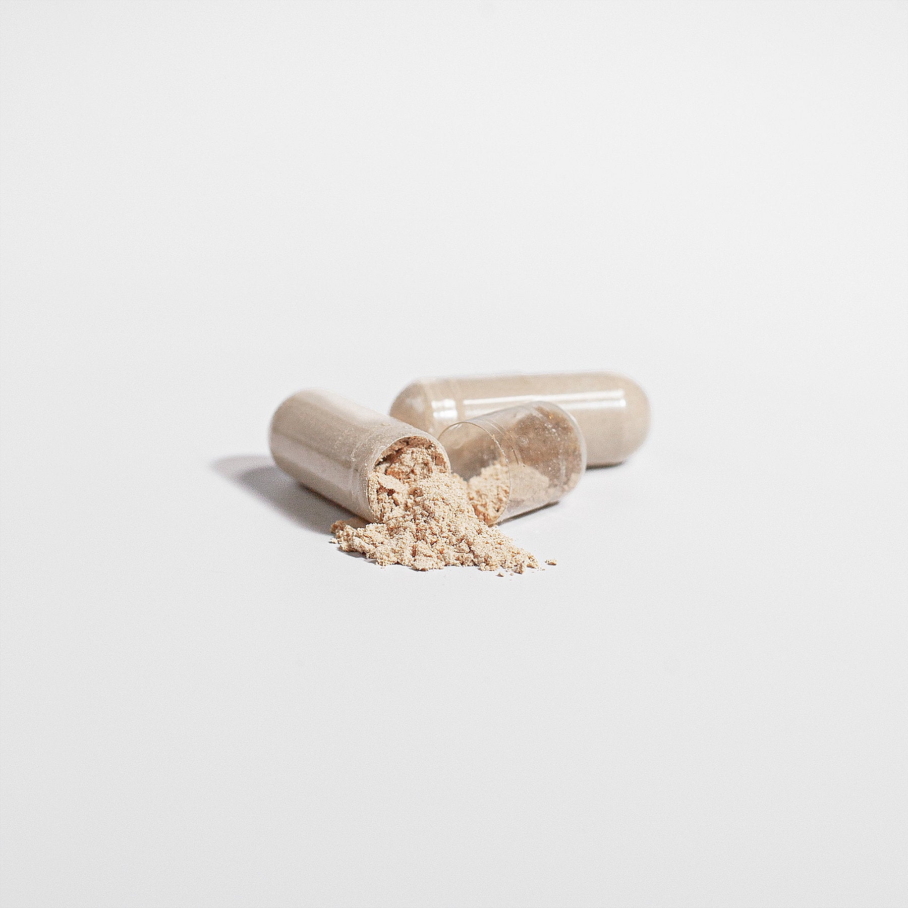 Premium Reishi Mushroom Immune Suppor